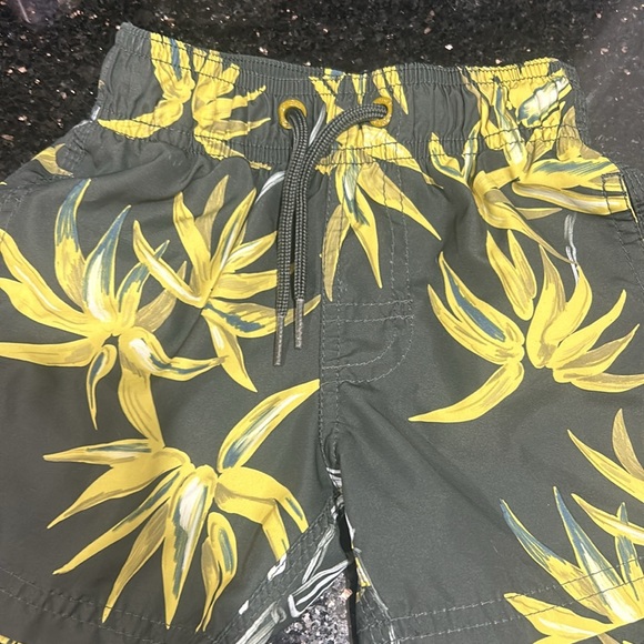 Toddler Boys
Sundek
Size 2 - Picture 5 of 5